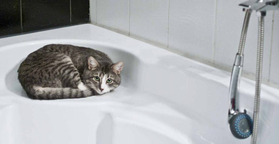 Handicap bathroom design