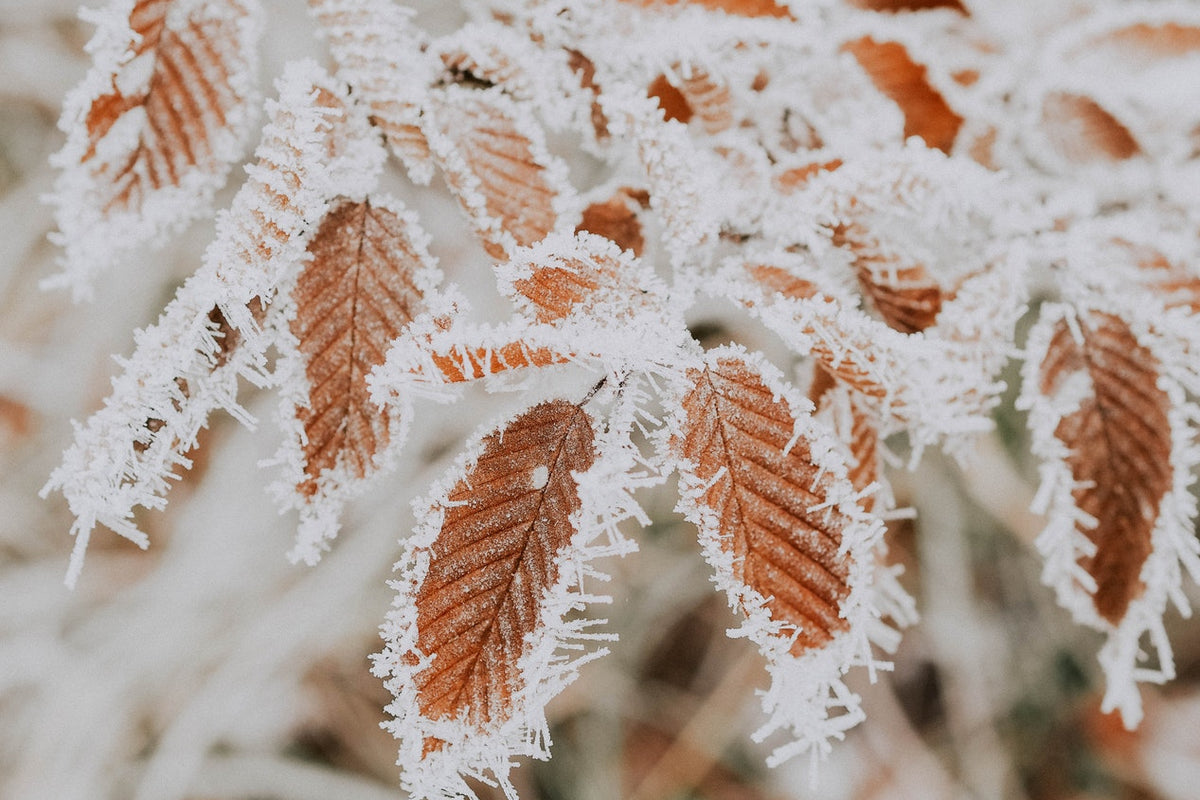 What a Caregiver Needs to Know About Preparing for Winter